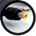 OVALTECH 19V/4.74AH Adaptador para Computadora Portatil 