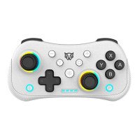Balam Rush KONTROL POCKET  G555 Controles Gaming