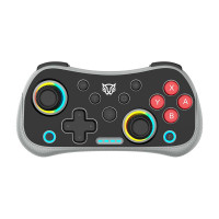 Balam Rush KONTROL POCKET G555 Controles Gaming