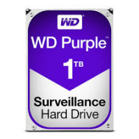 WESTERN DIGITAL WD10PURZ Disco Duro