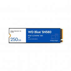 WESTERN DIGITAL WDS500G3B0E SSD
