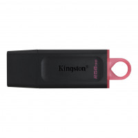 Kingston Technology DATATRAVELER EXODIA Memoria USB