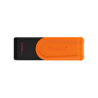 Kingston Technology DTXS/256GB Memorias USB