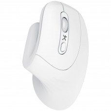 PERFECT CHOICE PC-045205 Mouse