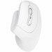 PERFECT CHOICE PC-045205 Mouse