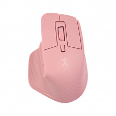PERFECT CHOICE PC-045281 Mouse