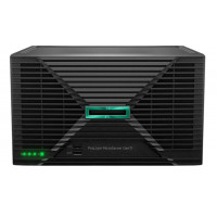 Hewlett Packard Enterprise HPE Microserver Gen11 Servidores